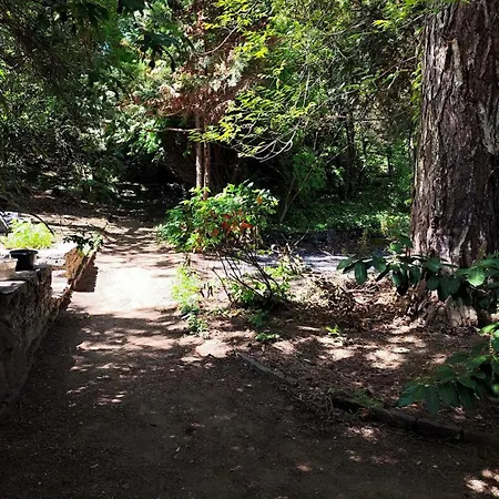 Borostyan Vendeghaz Badacsony Homestay