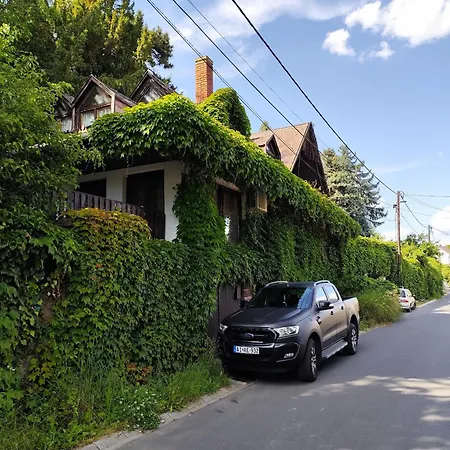Homestay Borostyan Vendeghaz Badacsony Badacsonytomaj